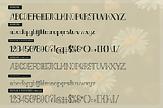 Fiore Dilona | Hand Drawn Vintage, a Font by Denustudios (Thumbnail 13 of 15)