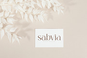 Sagire Modern Serif Font, a Serif Font by Storytype Studio (Thumbnail 11 of 15)