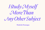 Montaigne Classic Serif, a Serif Font by Fenotype (Thumbnail 7 of 16)