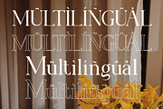 Morven - A Modern Serif Font, a Serif Font by Flawless And Co (Thumbnail 11 of 11)
