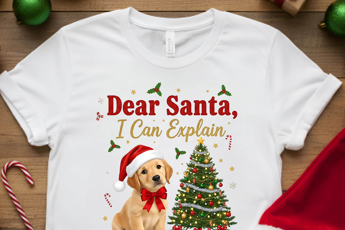 Dear Santa I Can Explain PNG, an Object Graphic by Digi_Design_World (Photo 3 of 3)