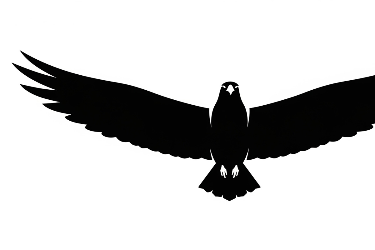 Powerful eagle flying wall art desig, an Illustration by Amazin_art (Photo 8 of 31)