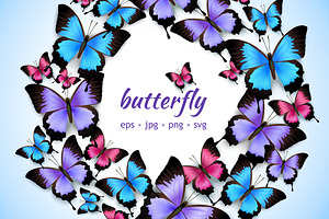 Butterfly Vector Set