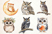 Watercolor Owl & Owlet Clipart, an Illustration by Dream Creation (Thumbnail 4 of 5)