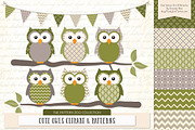 Owls Clipart & Patterns in Avocado, an Animal Illustration by Amanda Ilkov (Thumbnail 1 of 4)