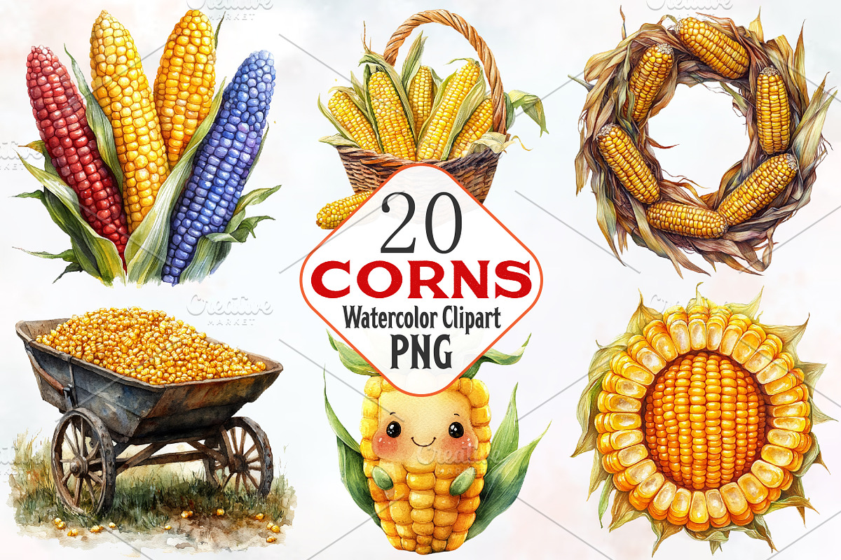 Corn Watercolor Cliparts, an Illustration by RobertsArt (Photo 1 of 7)