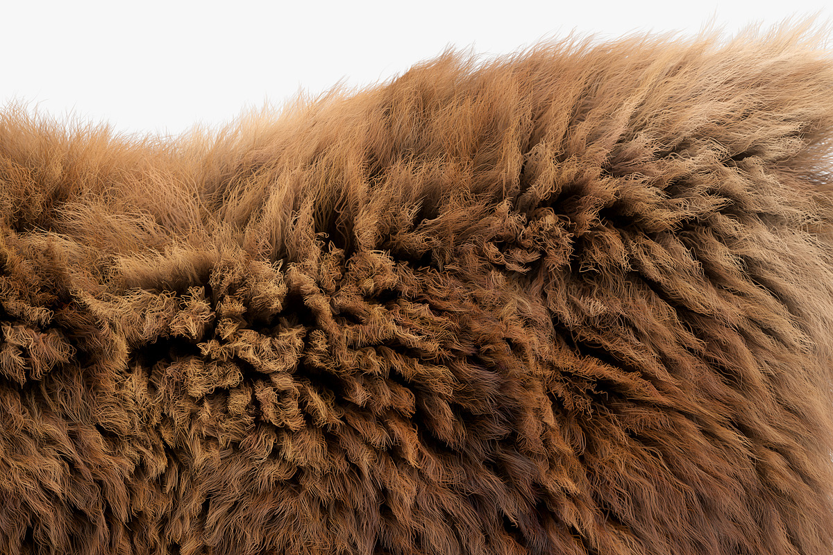 Collection of 38 fur pillows, an Object 3D Model by 3dmitruk (Photo 63 of 112)