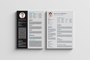 Professional CV Desig / Resumes