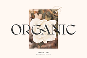 CARVES - Modern Display Font, a Sans Serif Font by Sensatype (Thumbnail 2 of 20)