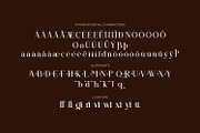 Qelvoria - Modern Serif Font, a Serif Font by Rishsketch (Thumbnail 14 of 15)