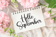 Wedding Christmas | Script Font, a Handwritten Font by Scratchones (Thumbnail 5 of 9)