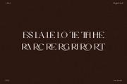The Cartel - Elegant Serif Font, a Serif Font by Say Studio (Thumbnail 14 of 19)