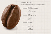 Cappuccino Handwriting Font, a Handwritten Font by Ruddean2109 (Thumbnail 4 of 10)