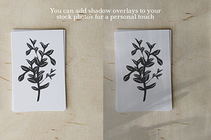 Natural Shadow Overlays & Background