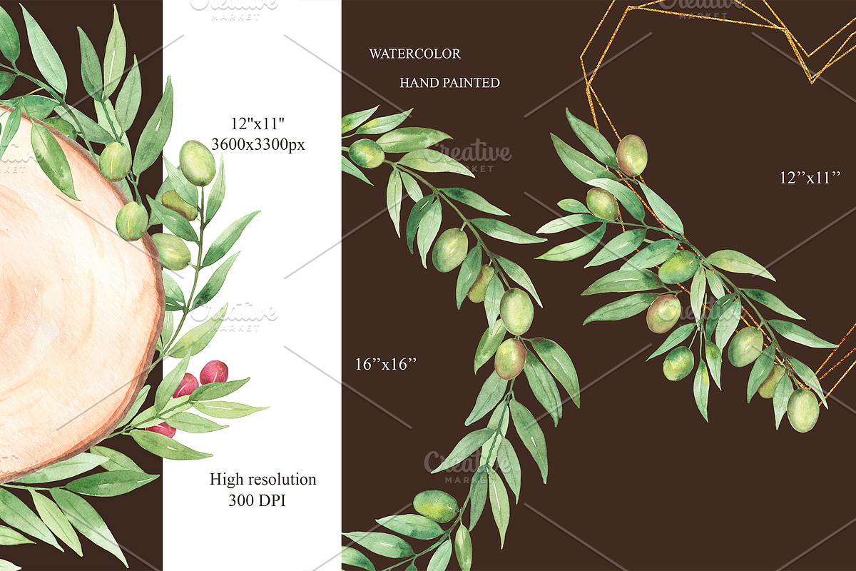 Watercolor Olive Collection, a Decorative Illustration by MayaNavits (Photo 8 of 10)