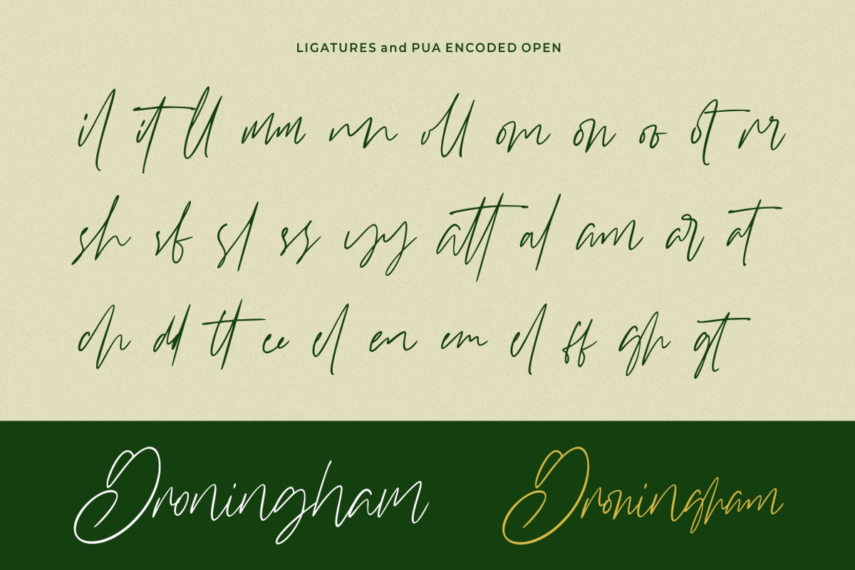 Williamson - Luxury Signature Font, a Script Font by StringLabs (Photo 10 of 12)