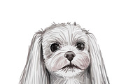 Dogs Cross Breeds 56 Animals Bundle, an Animal Illustration by Dneprstock (Thumbnail 34 of 55)