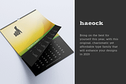 Haeock Family, a Slab Serif Font by vectalex (Thumbnail 2 of 6)