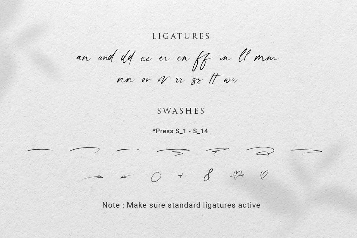 photogenic | Natural Handwritten, a Handwritten Font by Ef Studio (Photo 10 of 11)