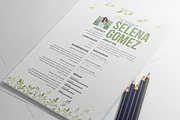 Mordern Resume Template, a Resume Template by Emaholic Template (Thumbnail 4 of 4)