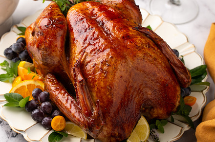 Thanksgiving or Christmas turkey on a serving plate, a Food & Drink Photo by farwasser
