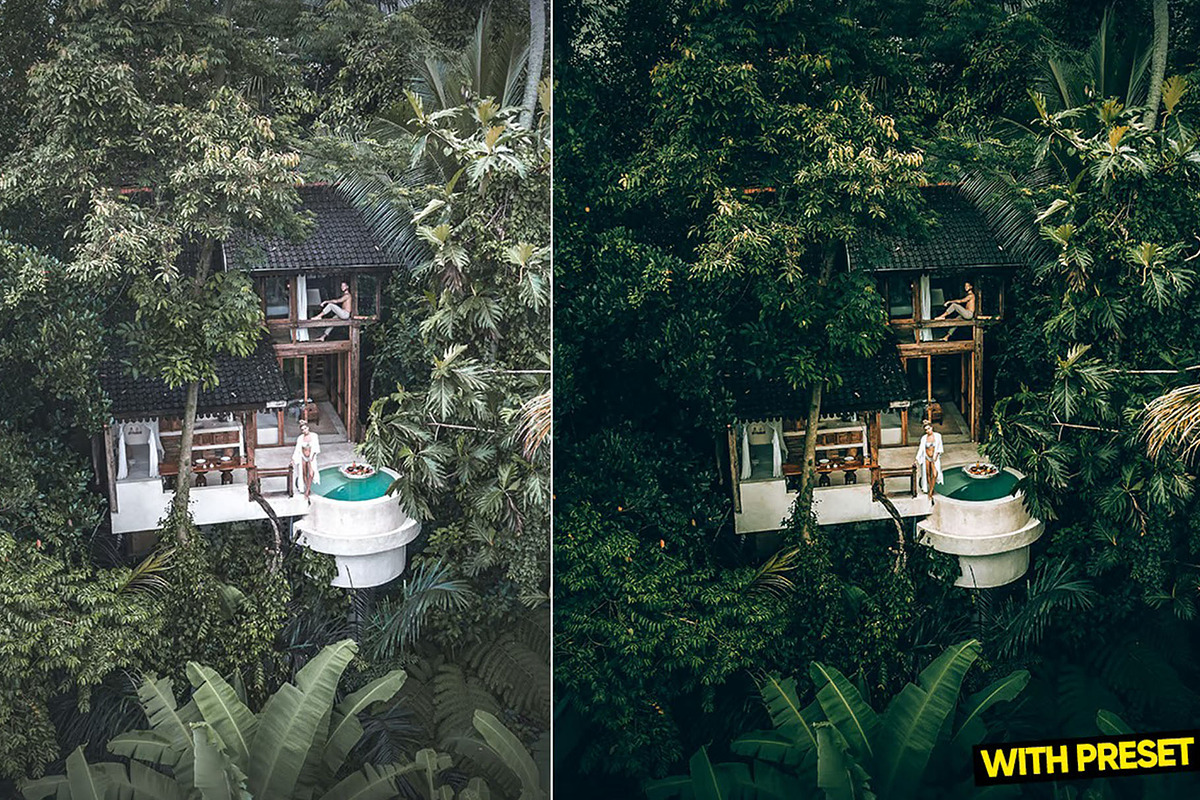 Bali Green Presets for Lightroom, a Preset Add-On by Hubzway (Photo 3 of 5)