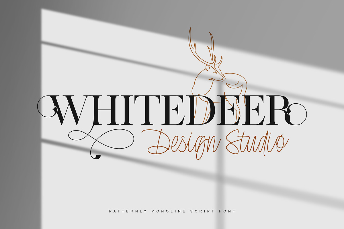 Patternly | Monoline Script, a Script Font by Lemonthe (Photo 4 of 9)