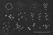 72 Gold & Silver Metallic Confetti, a Holiday Photo by Ksuview (Thumbnail 7 of 8)