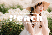 Bichaeru - Korean Typeface, a Sans Serif Font by TypeClassHeroes (Thumbnail 2 of 10)