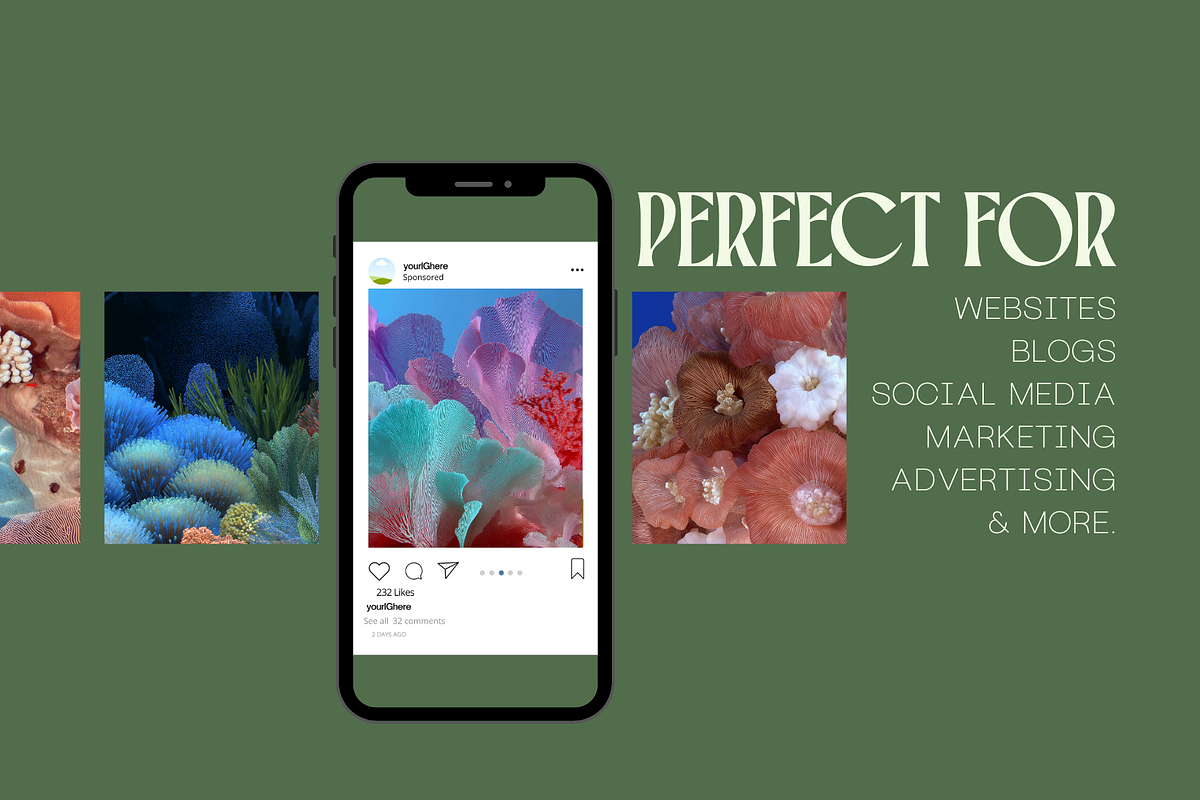 60 Coral Reef Stock Photos, a Nature Photo by Incomelion (Photo 2 of 14)