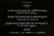 Leathery Typeface, a Font by Fortunes Co (Thumbnail 2 of 5)