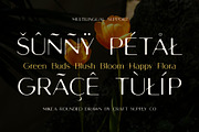 Mikea Rounded Drawn, a Sans Serif Font by Craft Supply Co. (Thumbnail 3 of 8)