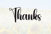 Sunflower | Script Font, a Handwritten Font by Scratchones (Thumbnail 8 of 8)