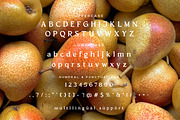 El Pacre Display Font, a Serif Font by Hishand Studio (Thumbnail 8 of 10)
