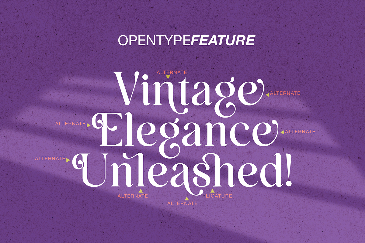 Sugar Baby Retro serif, a Font by Vampstudio (Photo 7 of 13)