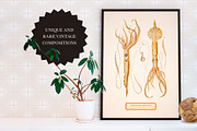 BUNDLE: 200 Vintage Art Prints, a Decorative Illustration by The Object Atlas (Thumbnail 5 of 22)