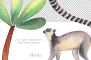 Wild Jungle, watercolor safari set, an Animal Illustration by Vivitta (Thumbnail 2 of 5)