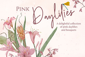 Pink Daylily Graphic Set