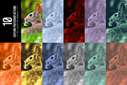 10 Duotone Photoshop Actions preview 2