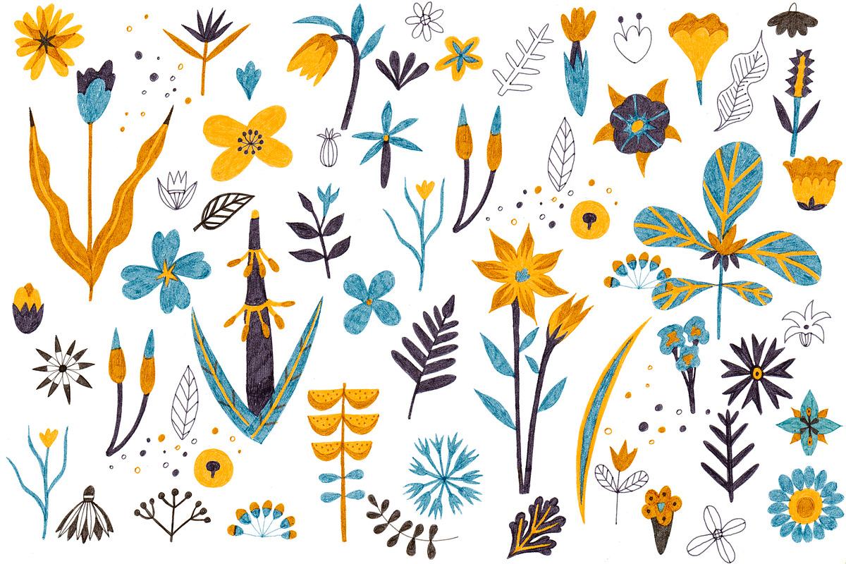HandDrawn Garden collection, a Decorative Illustration by Sasha Mitkalova (Photo 2 of 4)