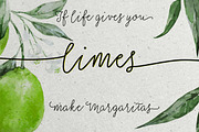50% OFF Salt & Spices Mono, a Script Font by Fontforecast (Thumbnail 2 of 13)