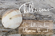 Humaira - Signature Fonts, a Script Font by SemutHitam Creative (Thumbnail 4 of 10)