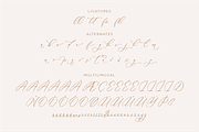 Anticka Whitnes Beauty Script Font, a Script Font by Storytype Studio (Thumbnail 14 of 15)