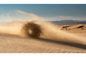 Tumbleweed rolling through a sandy, a Background Photo by Igor Tichonow
