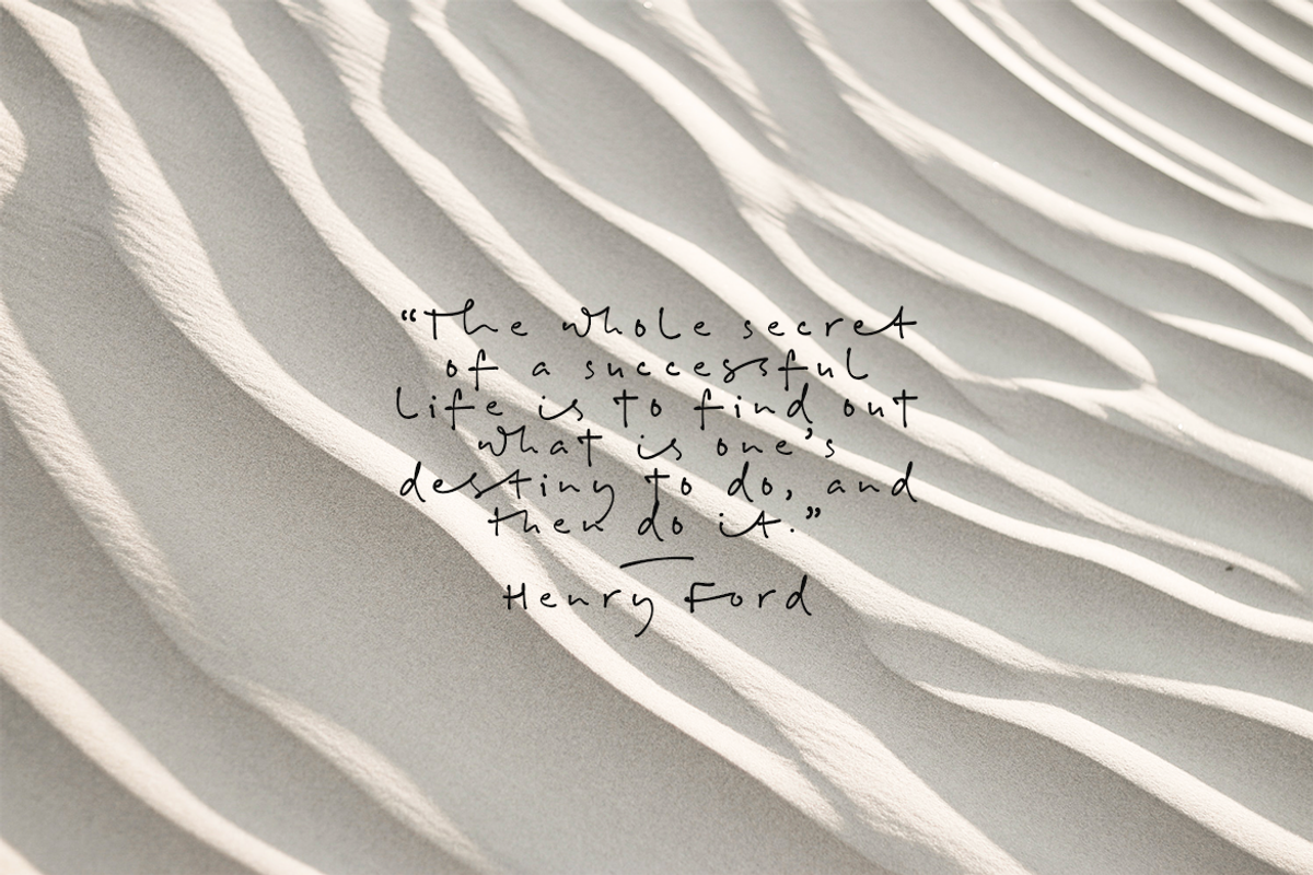 Bill Hiffith | An Organic Script, a Script Font by Colllab Studio (Photo 17 of 18)