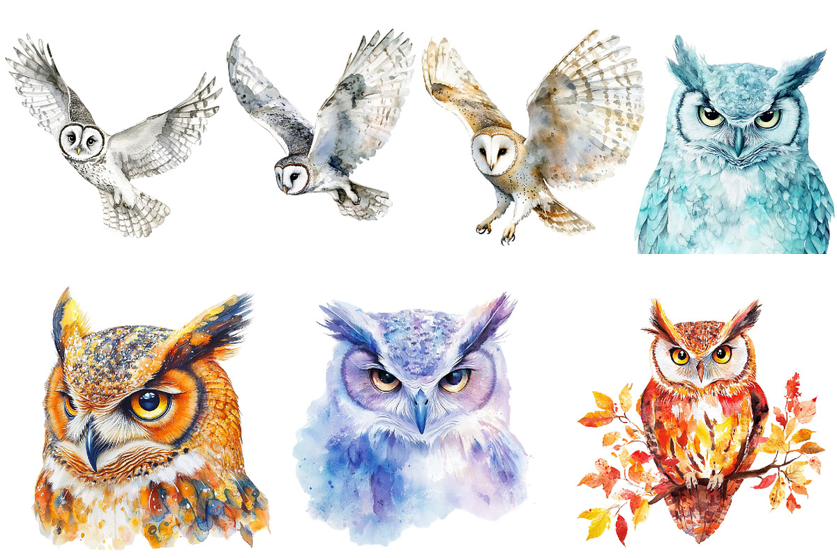 Fantasy Owl Clipart Bundle, an Illustration by Pixels.Craft (Photo 5 of 5)