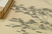 Plant Shadow Backdrops Video Bundle, a Mockup by rebrandy (Thumbnail 5 of 24)