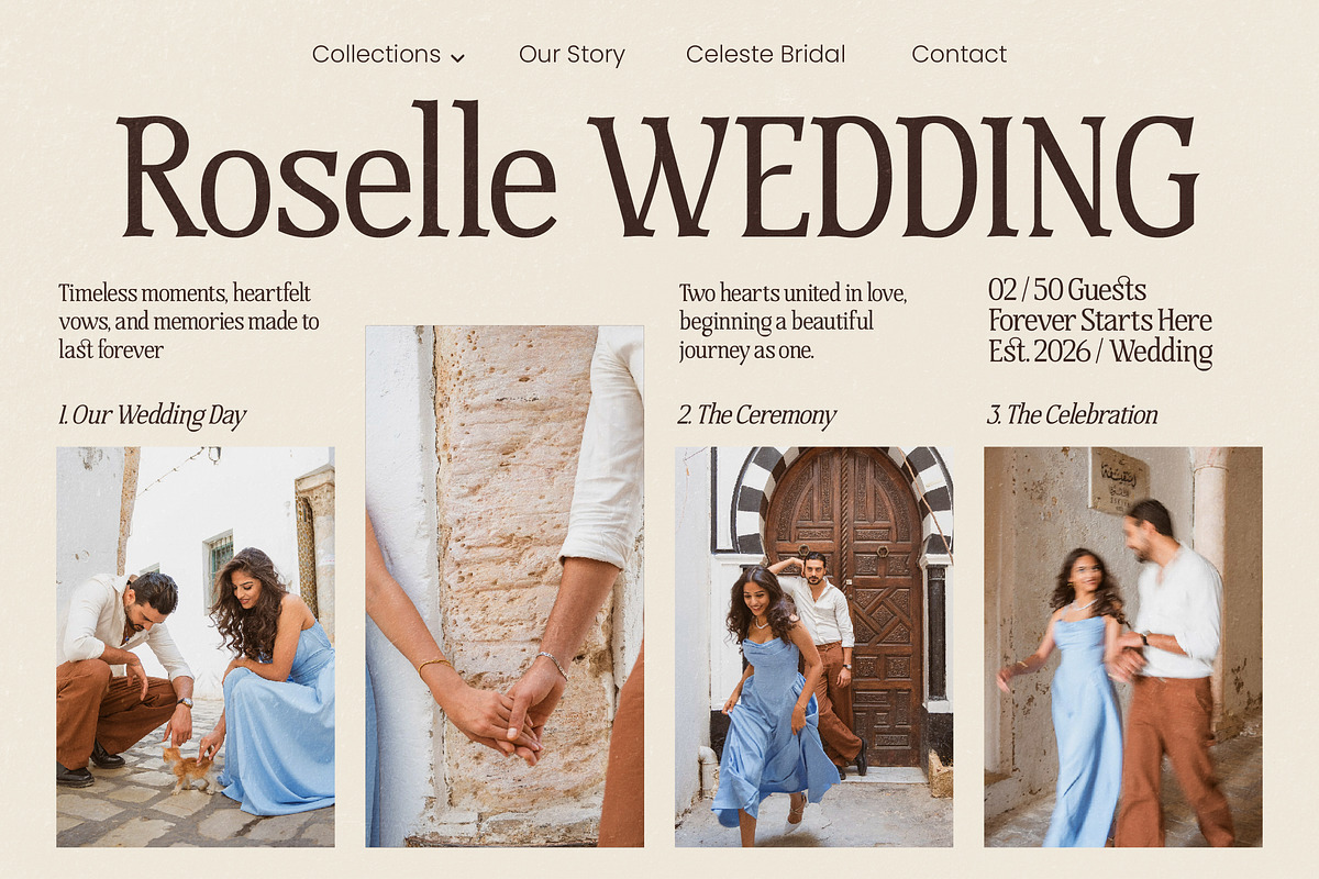 Mestalight Elegant Editorial Serif, a Serif Font by AmorfaType (Photo 4 of 8)