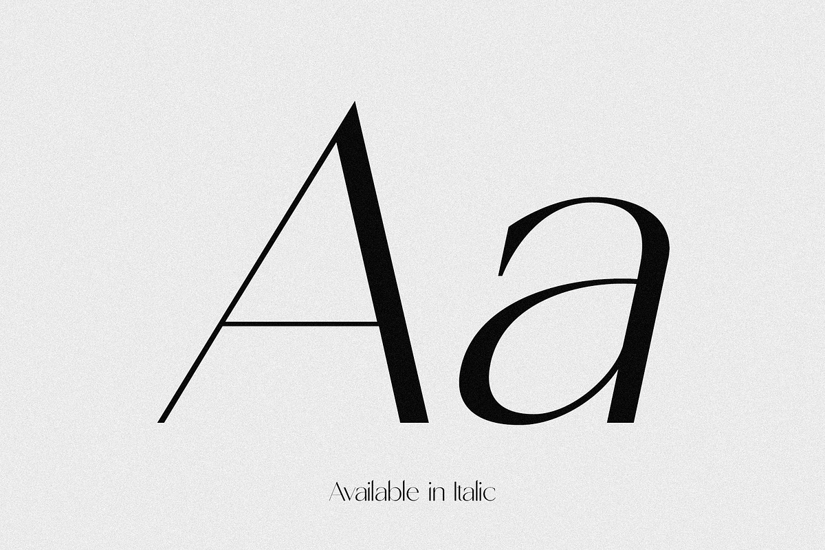 Shoreline - Classical Sans Serif Duo, a Sans Serif Font by Misha Sova (Photo 4 of 11)