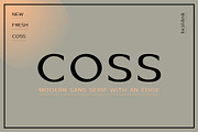 COSS – Modern & Stylish Sans, a Sans Serif Font by Local Desk Designstudio (Thumbnail 18 of 22)